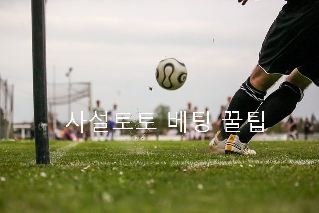 사설토토 베팅 꿀팁