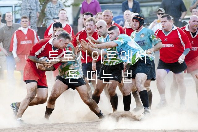 토토사이트 에서 돈따는법
